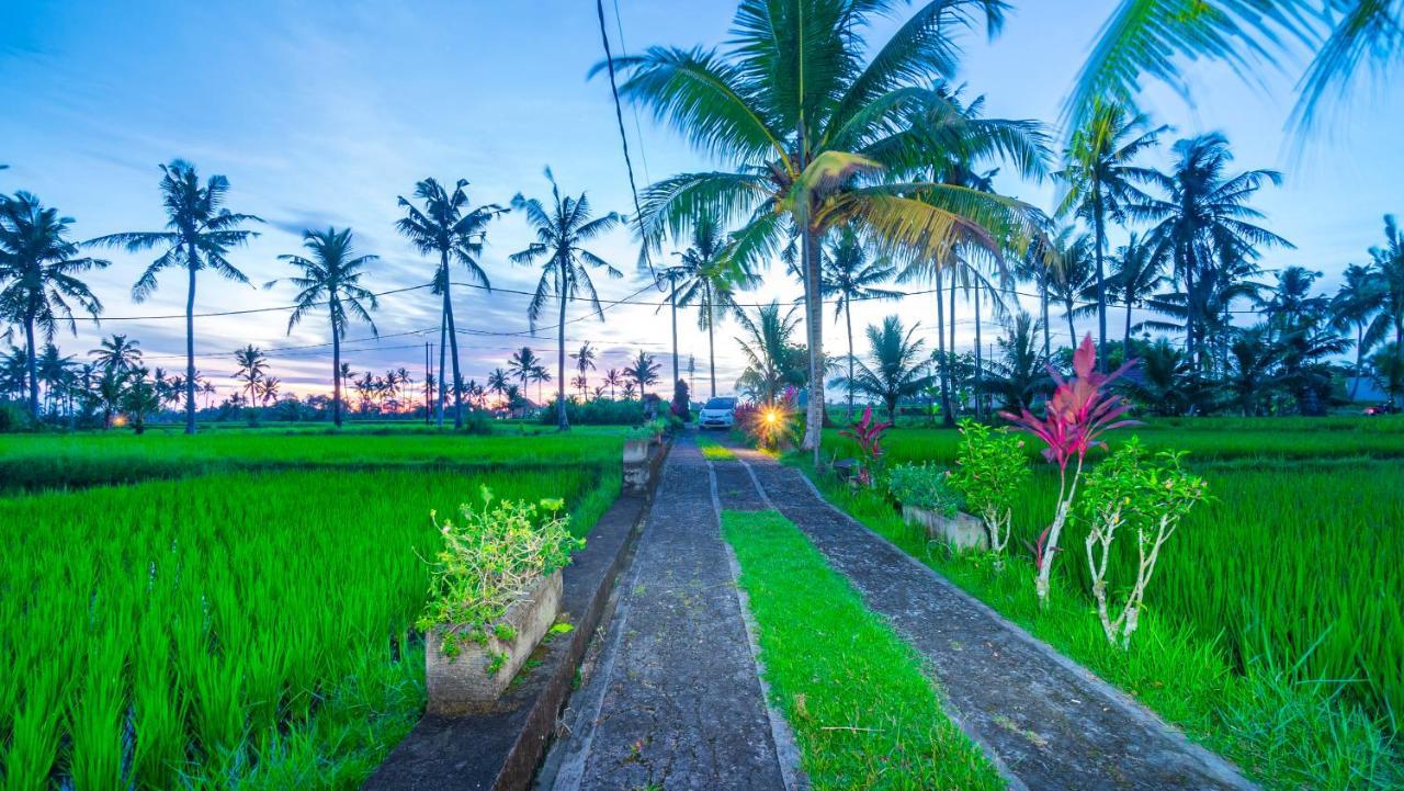 Maruan Sari Lägenhet Ubud Exteriör bild